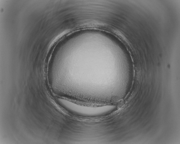 X0000080131026200701051414