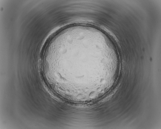 X0000080131029200701051414