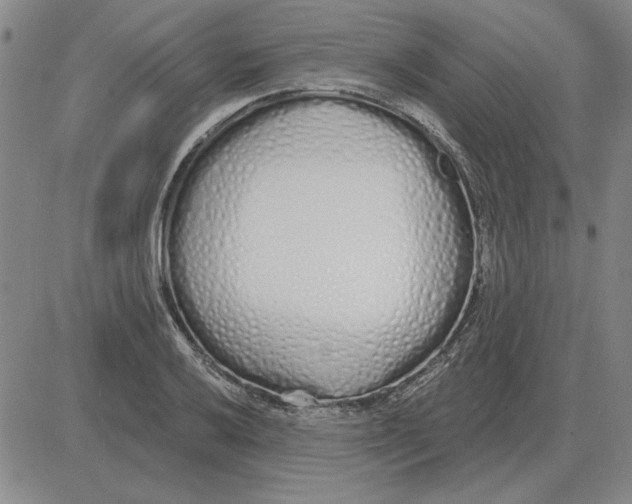 X0000080131032200701051414