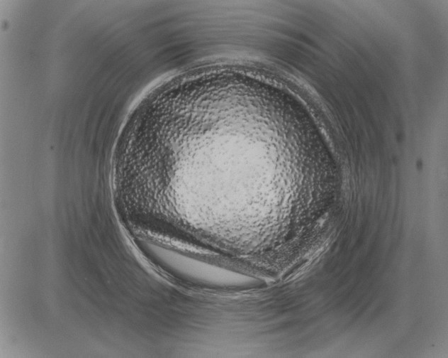 X0000080131034200701051414