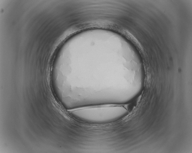 X0000080131035200701051414