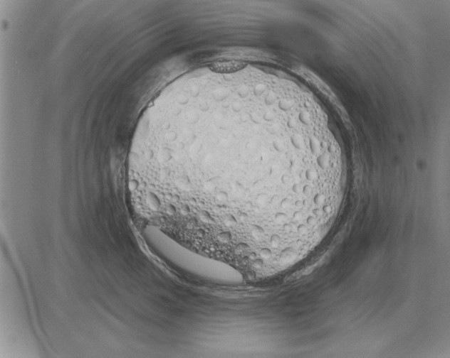 X0000080131049200701051414