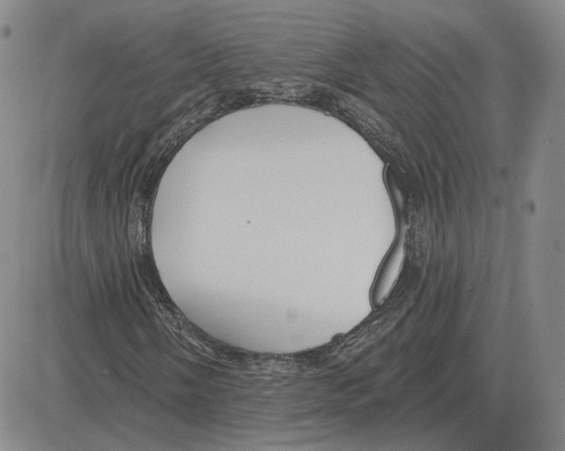 X0000080131058200701051414