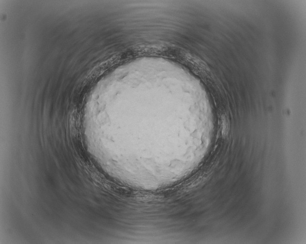 X0000080131059200701051414