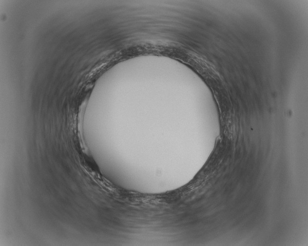 X0000080131061200701051414