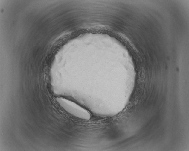 X0000080131063200701051414