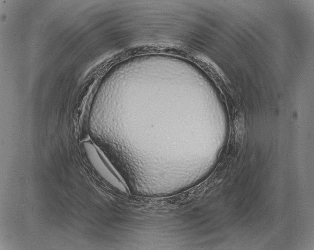 X0000080131064200701051414