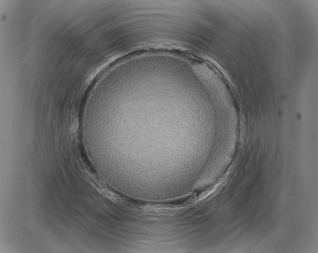 X0000080131065200701051414
