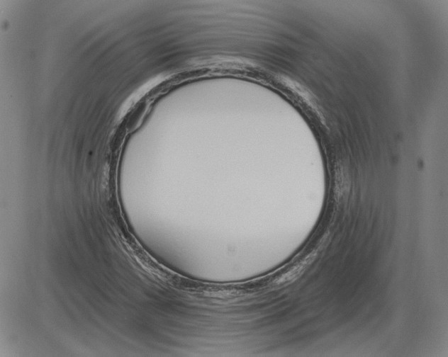 X0000080131066200701051413