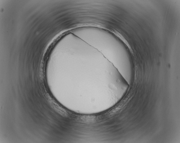 X0000080131068200701051413