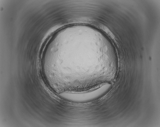 X0000080131072200701051413