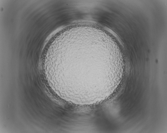 X0000080131074200701051413