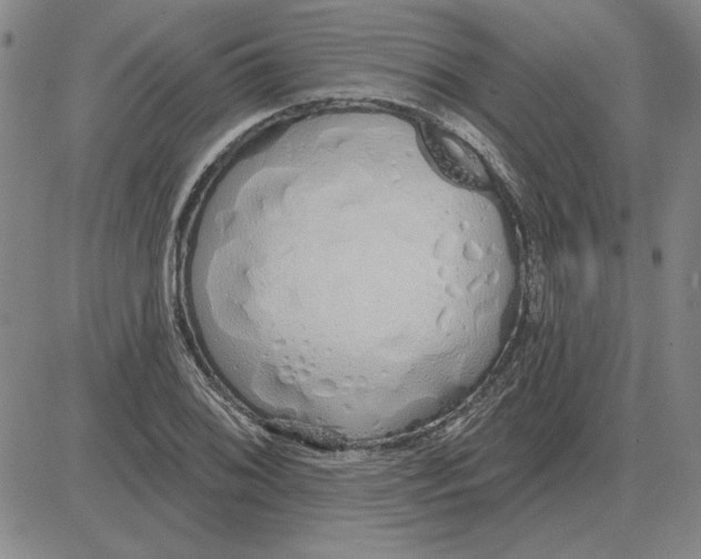 X0000080131076200701051413