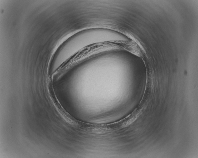 X0000080131077200701051413