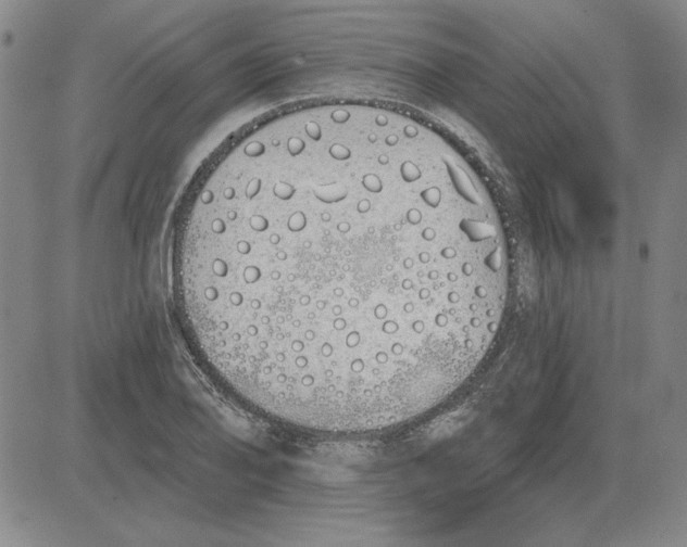 X0000080131078200701051413