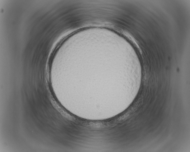 X0000080131080200701051413