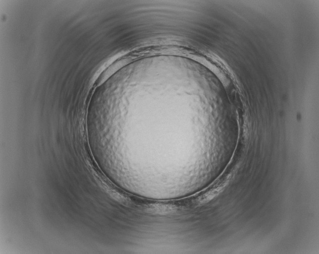 X0000080131081200701051413