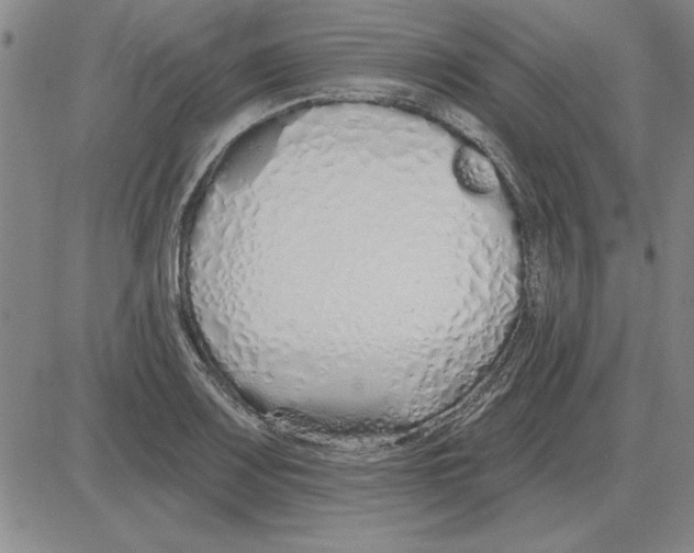 X0000080131083200701051413