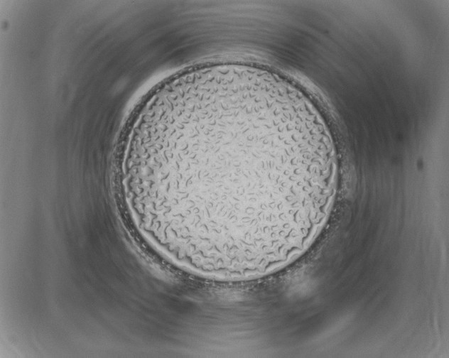X0000080131086200701051413