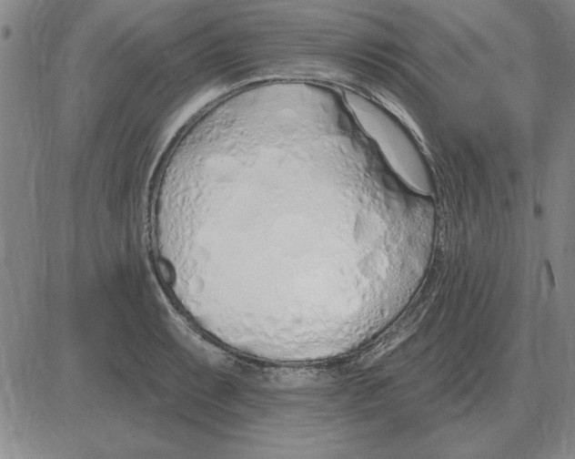 X0000080131087200701051413