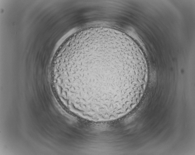 X0000080131090200701051413