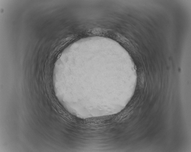 X0000080131105200701051412