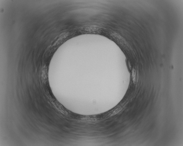 X0000080131107200701051412