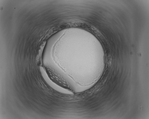 X0000080131108200701051412