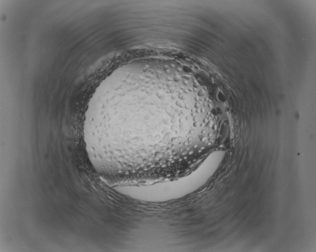 X0000080131110200701051412