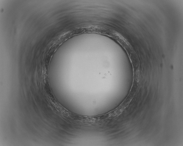 X0000080131111200701051412