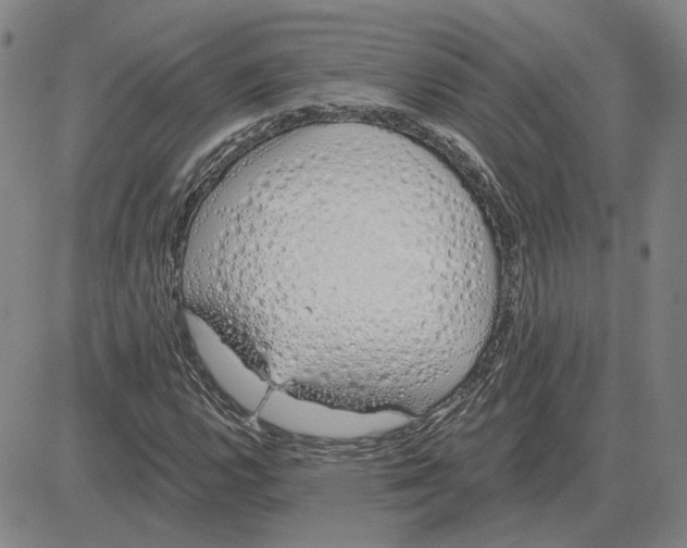 X0000080131112200701051412