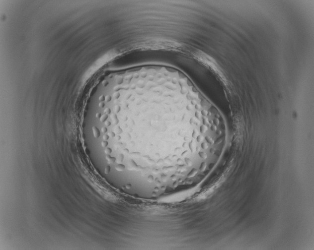 X0000080131114200701051412