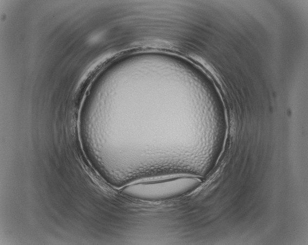 X0000080131115200701051412