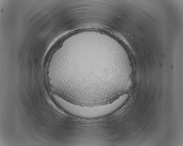 X0000080131116200701051412