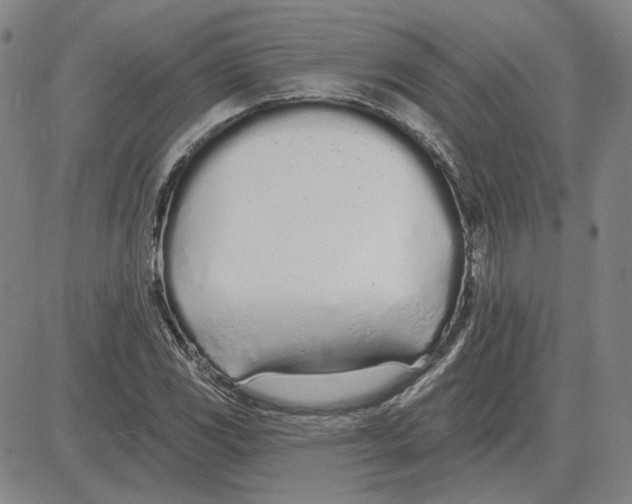 X0000080131117200701051412