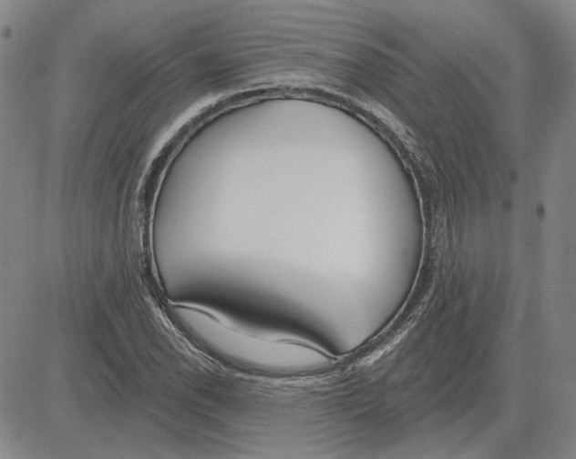 X0000080131118200701051412