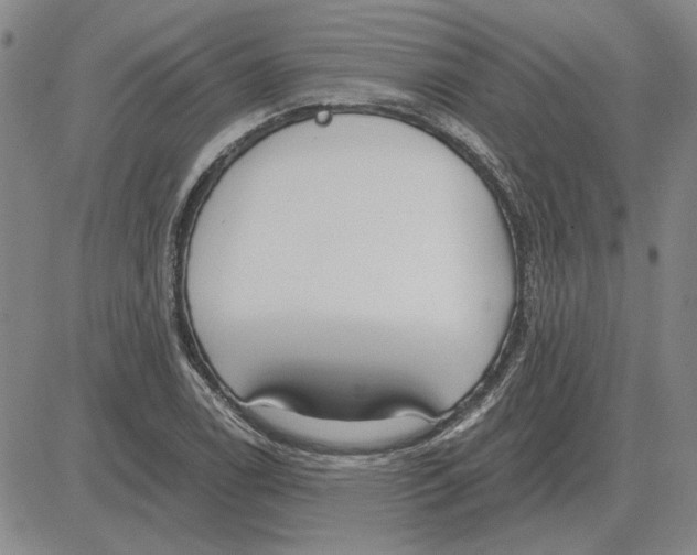 X0000080131122200701051412