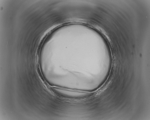 X0000080131125200701051412