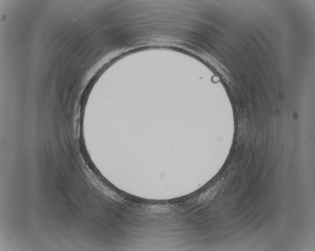 X0000080131126200701051412