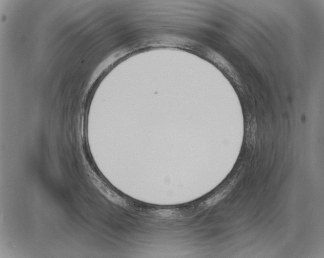 X0000080131130200701051412