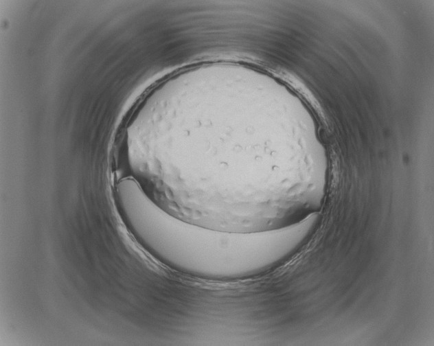 X0000080131132200701051413