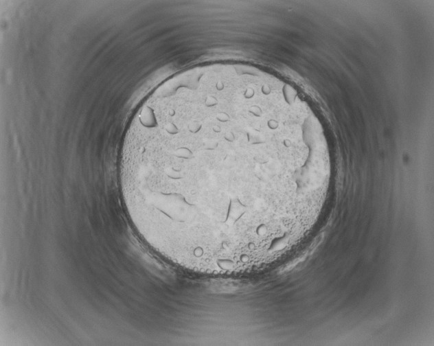 X0000080131137200701051413