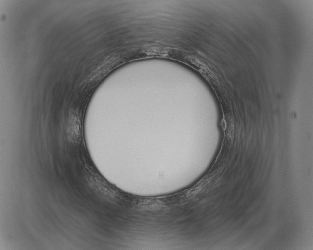 X0000080131154200701051412