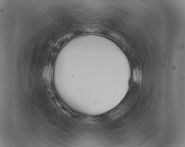 X0000080131155200701051412