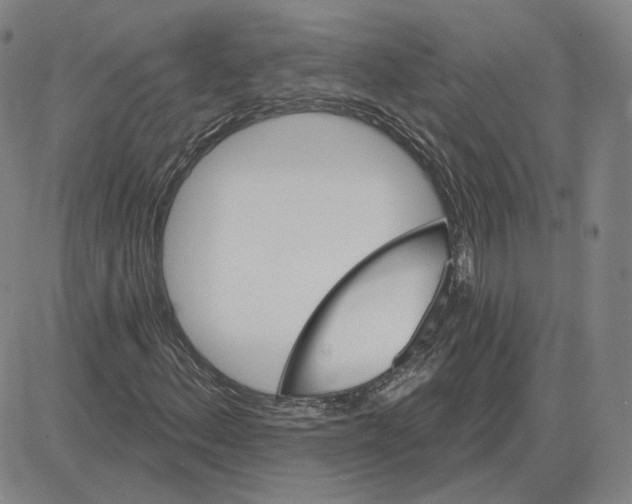 X0000080131156200701051412