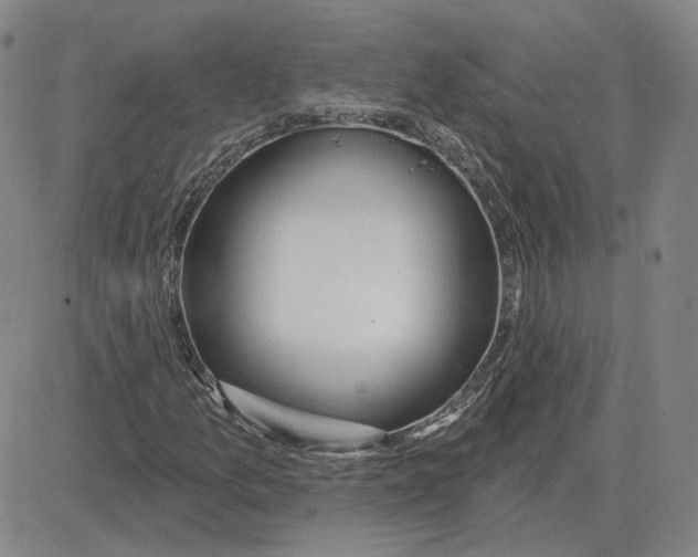 X0000080131157200701051412