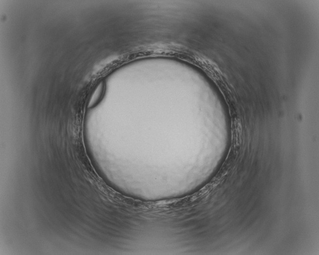 X0000080131158200701051412