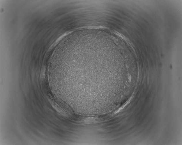 X0000080131161200701051412