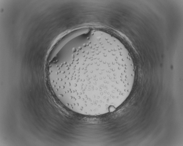 X0000080131168200701051412