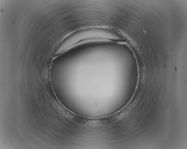 X0000080131169200701051412